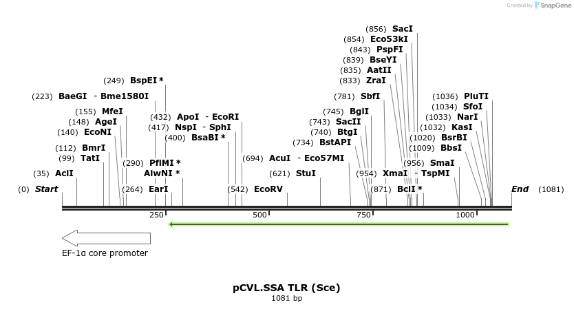 70683_map