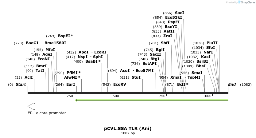 70687_map