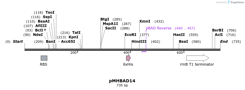 70688_map