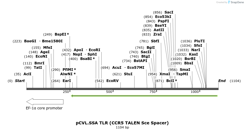 70693_map
