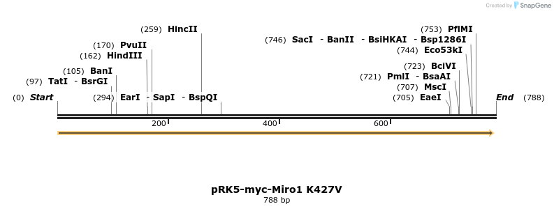 70698_map