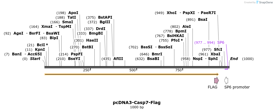 7070_map