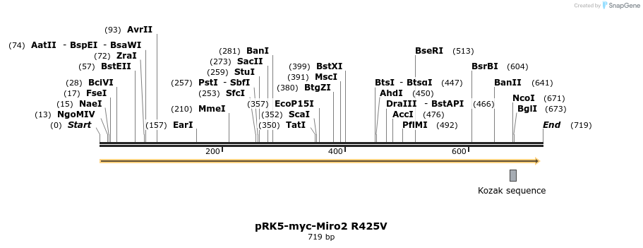 70704_map