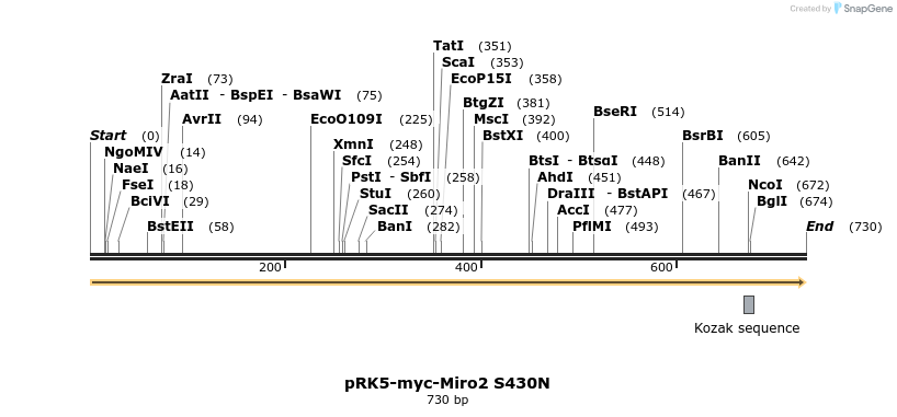 70705_map