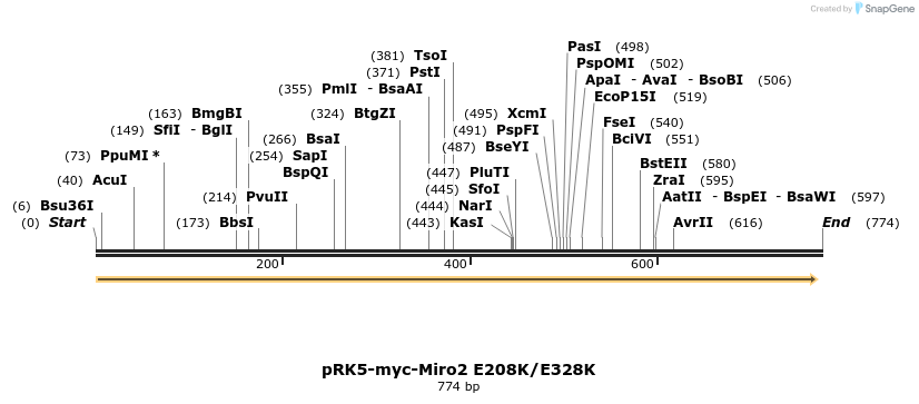70707_map