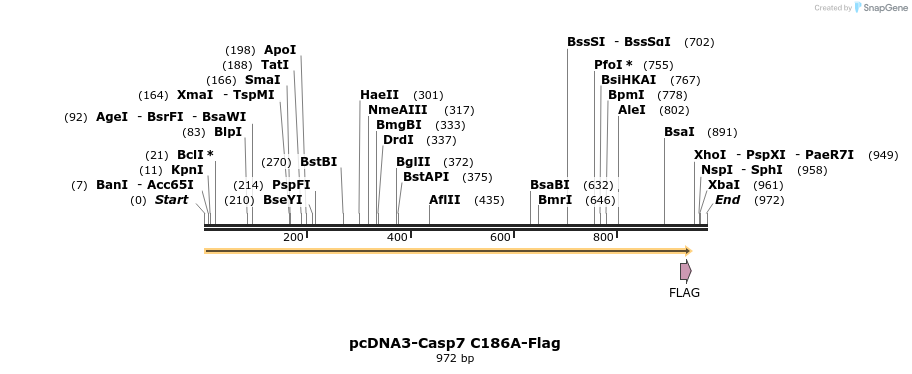 7071_map