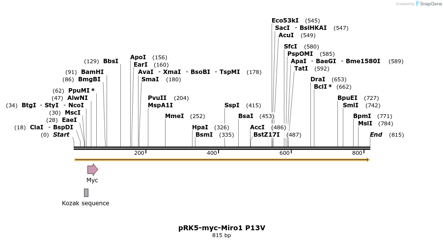 70710_map