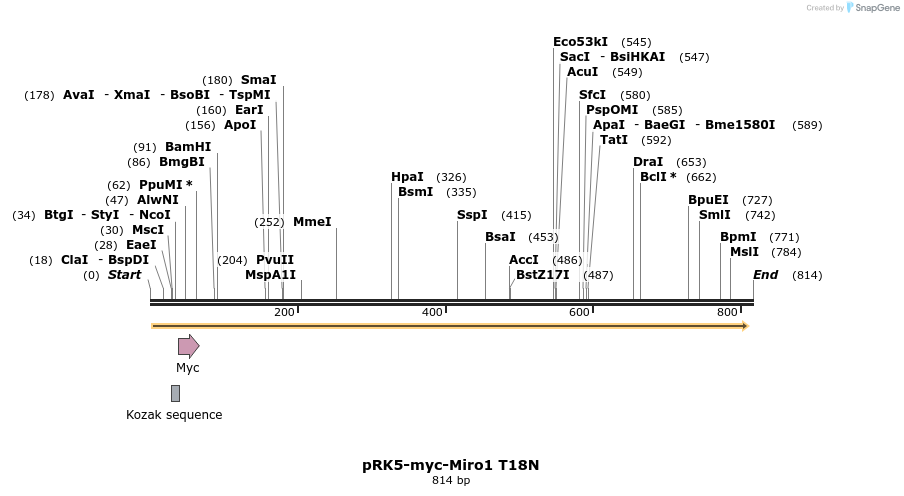 70711_map
