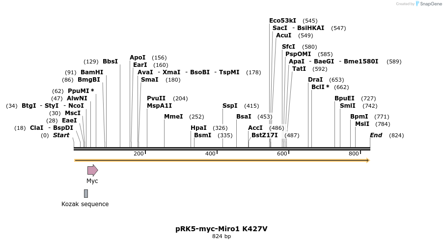 70713_map