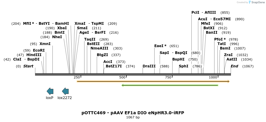 70715_map