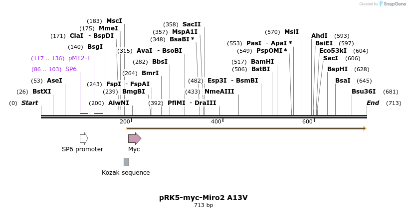 70717_map