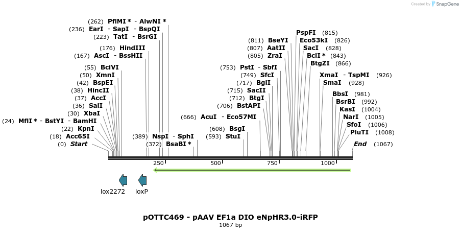 70719_map