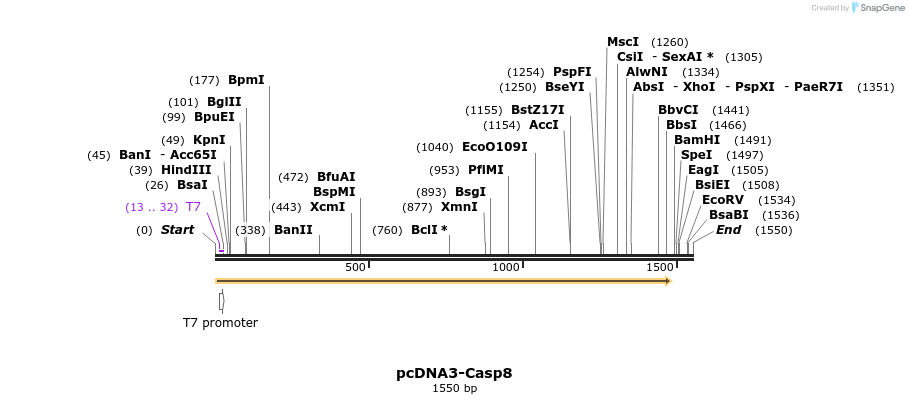 7072_map