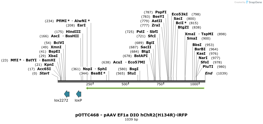 70725_map