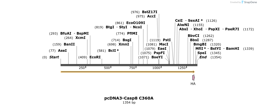 7073_map