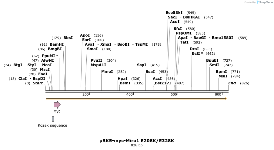 70732_map