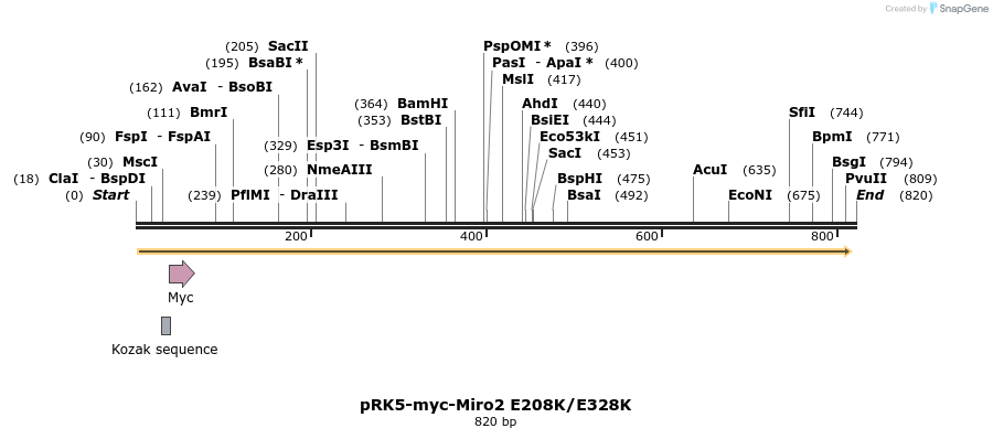 70733_map