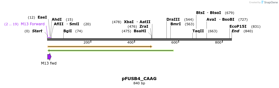 70737_map