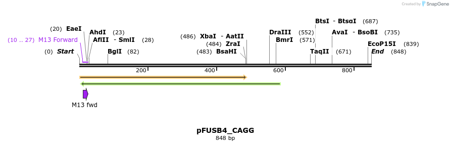 70738_map