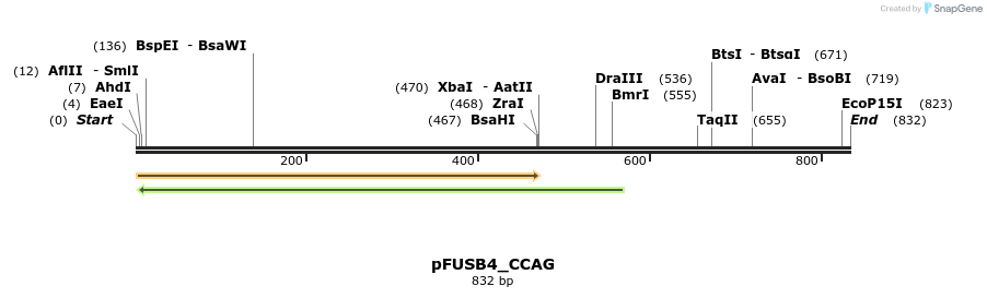 70739_map