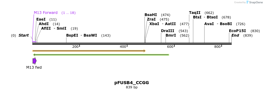 70740_map