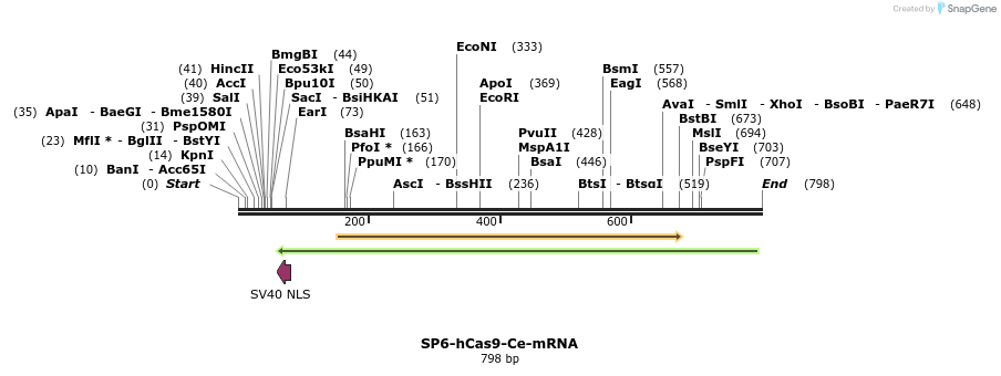 70741_map