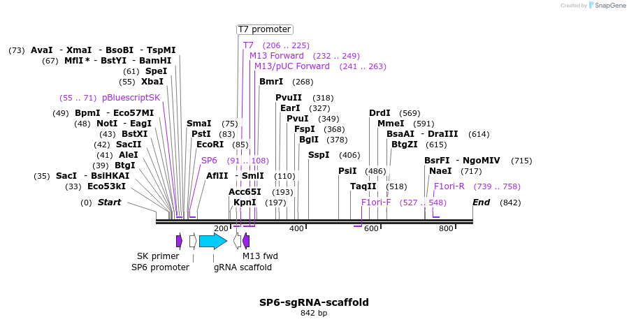 70743_map