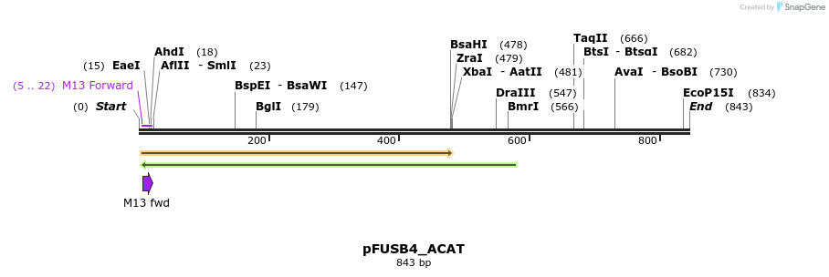 70745_map
