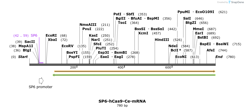 70746_map