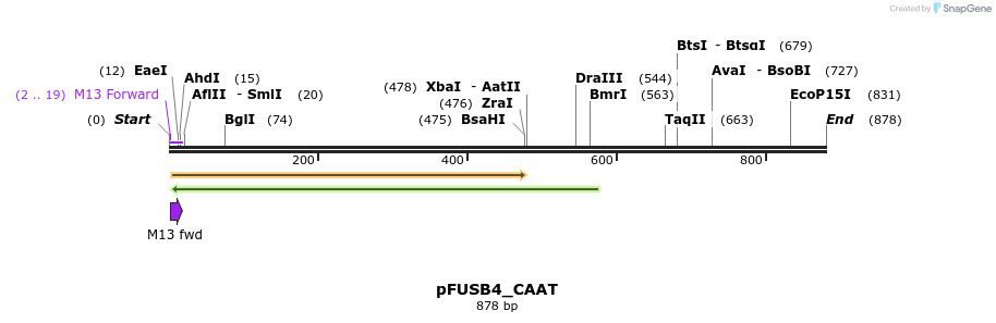 70751_map