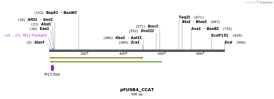 70754_map
