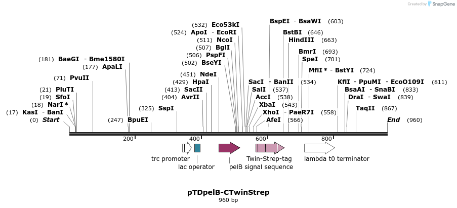 70757_map