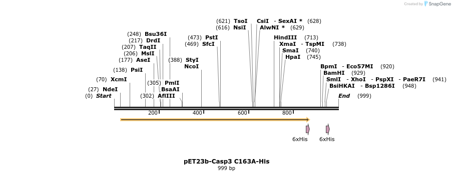 7076_map