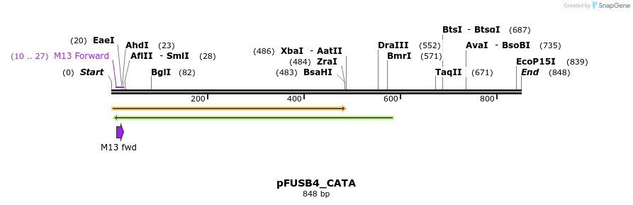 70767_map