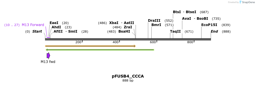 70768_map
