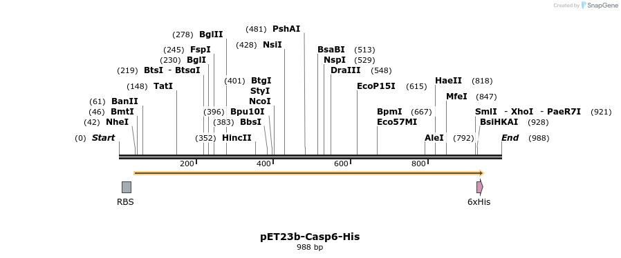 7077_map