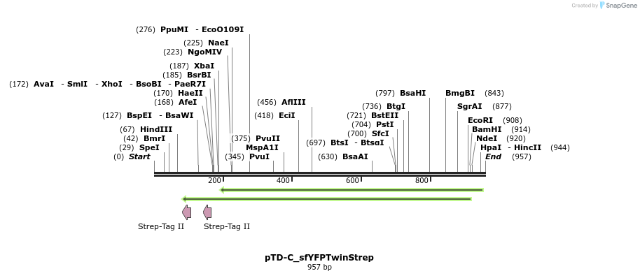 70773_map