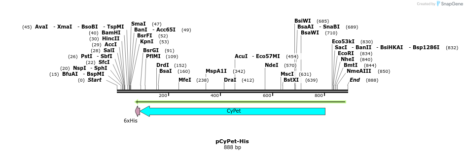 70776_map