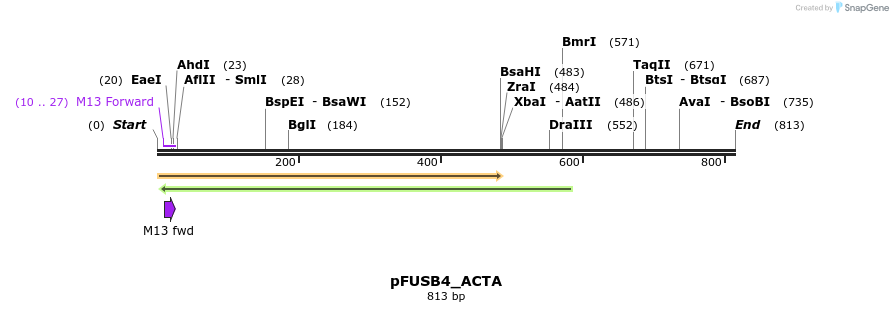 70779_map