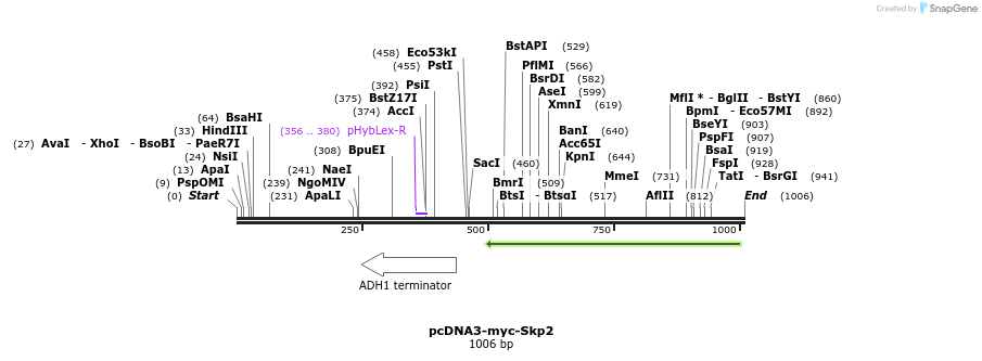 70784_map