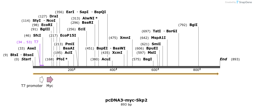 70785_map