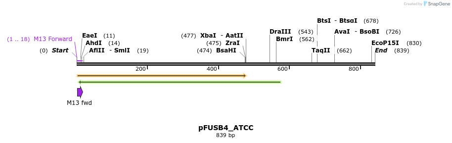 70786_map
