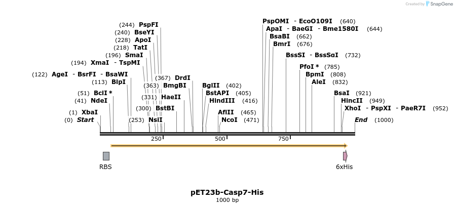 7079_map