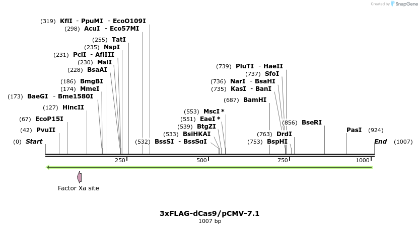 70791_map