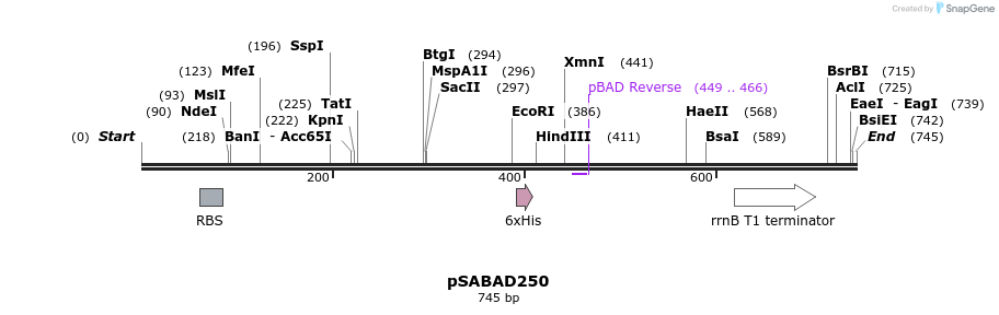 70794_map