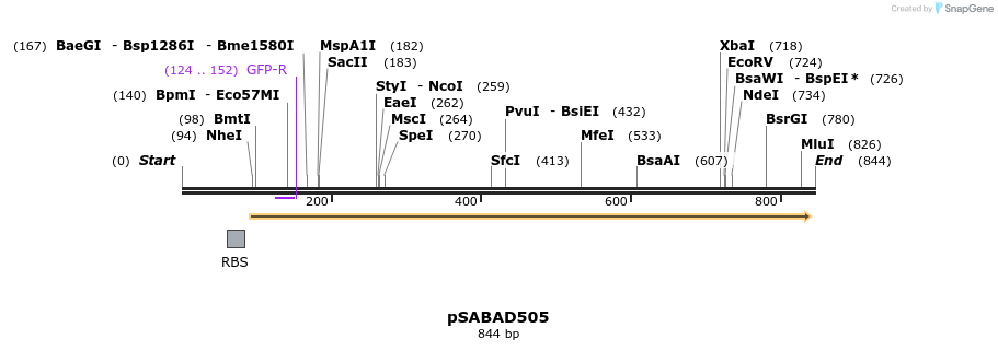 70797_map