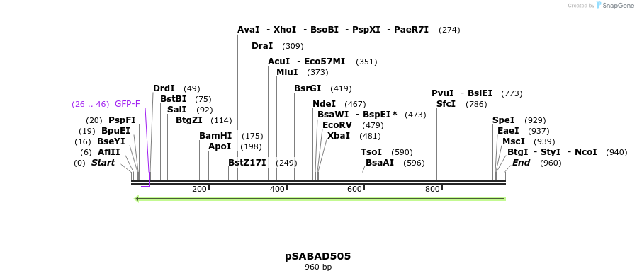 70798_map