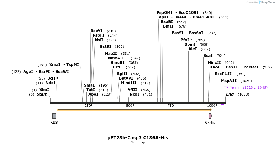 7080_map