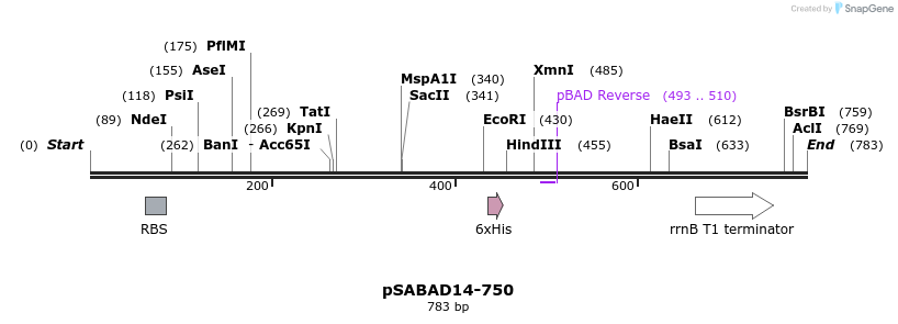 70800_map
