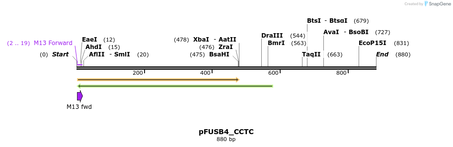 70802_map